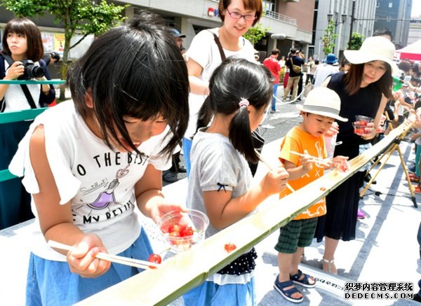 日本山形举行樱桃节 “流水樱桃”吸引众多民众参与（图片来源：朝日新闻网站）