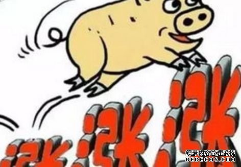 点击查看源网页