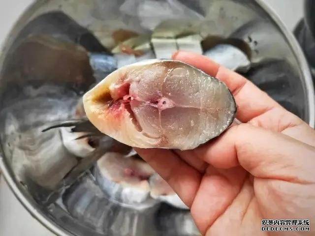 遇上这鱼从不手软,一买就是10斤,肉嫩刺少营养高,每次都吃不够
