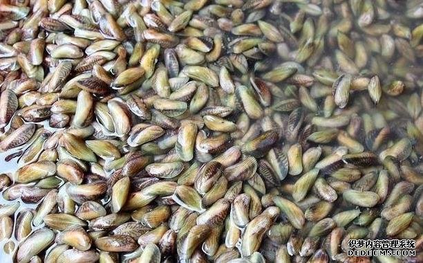 这种美食一两肉,南方人从小吃到腻,北方人很少吃