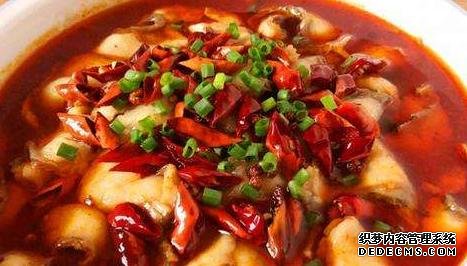 家常菜才是最解馋的,简单焖一焖,汁鲜肉香,看她馋到舔盘