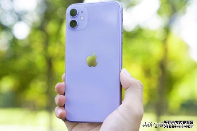 iPhone 11系列价格再跳水,跌至“荣耀价”是什么原因?