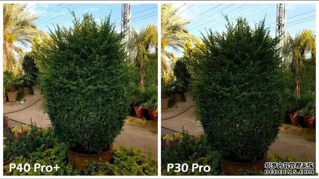 华为P40Pro+和华为P30Pro拍照对比:都是旗舰到底要不要升级?