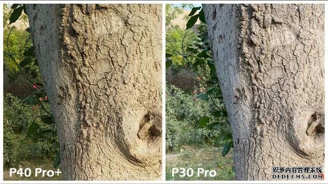 华为P40Pro+和华为P30Pro拍照对比:都是旗舰到底要不要升级?