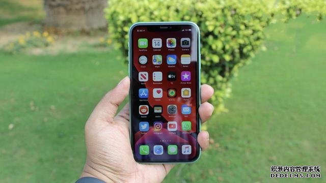4G基带+LCD屏+A14,低配版iPhone12首次曝光,定价3885元?