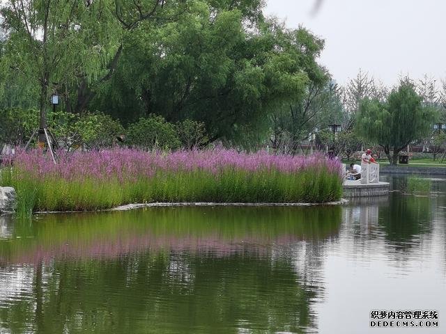 华为P40夏日实拍体验：色彩更加真实，低ISO下噪声更少