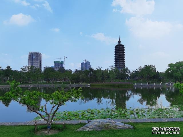 华为P40夏日实拍体验:色彩更加真实,低ISO下噪声更少