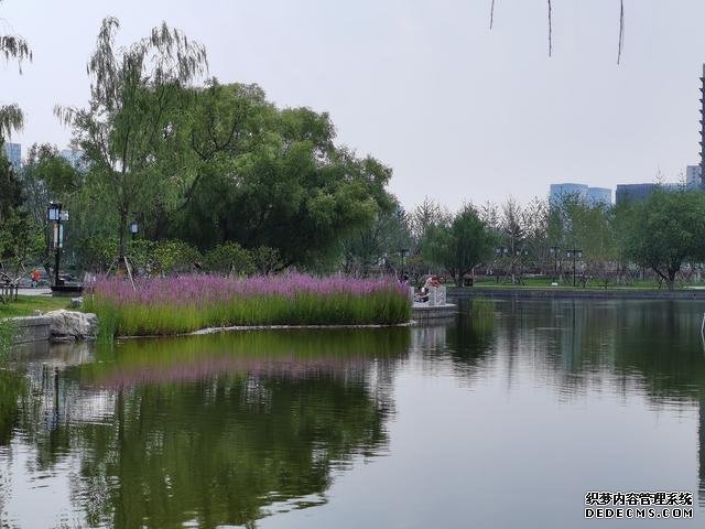 华为P40夏日实拍体验:色彩更加真实,低ISO下噪声更少