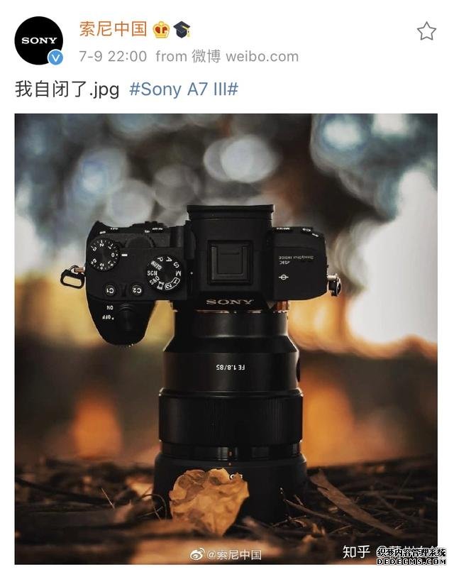 能让索尼自闭的佳能相机,是手机逼出来的?