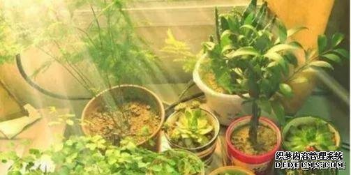 十种健康的养生方式!(建议永久坚持)