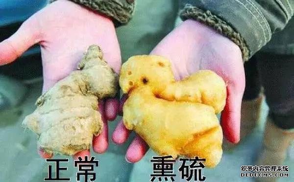 遇到这种生姜千万不要买,外表看似光滑无泥土,实则有毒无姜味