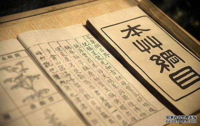 低卡、饱腹又营养的红薯,真的能够代替主食吗?
