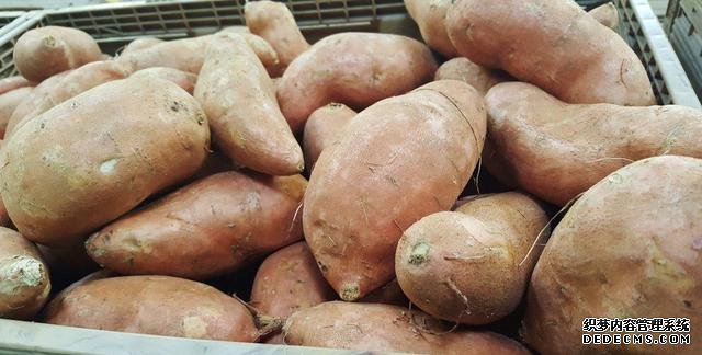 低卡、饱腹又营养的红薯,真的能够代替主食吗?