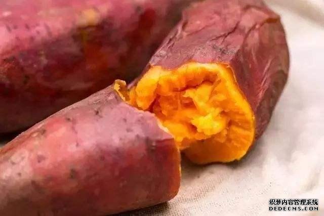 低卡、饱腹又营养的红薯,真的能够代替主食吗?