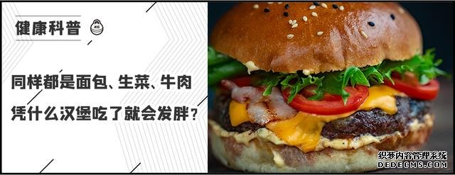 低卡、饱腹又营养的红薯,真的能够代替主食吗?