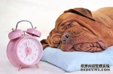 健康驿站丨睡眠专题(一):良好睡眠 健康中国
