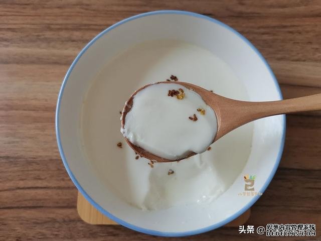 三伏天,这道姜撞奶女人要多吃,驱寒暖胃,舒服度夏体质好