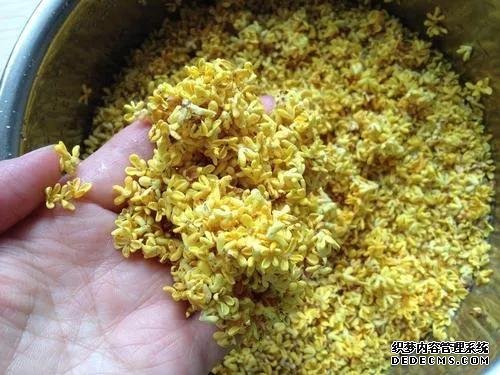 就是它了!夏日消暑必备——桂花酒