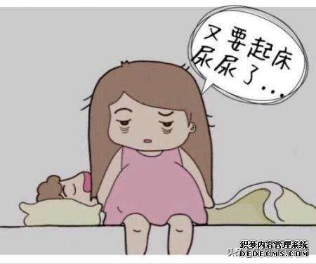 夏季女性夜尿增多很尴尬,这4招用起来,睡眠质量看得见