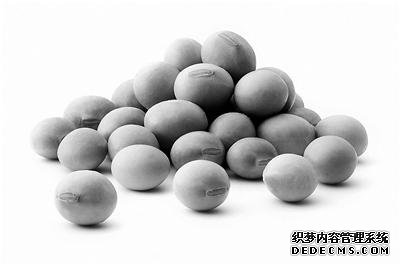 优质蛋白十佳食物排行榜 你爱吃哪几个?