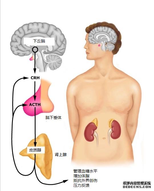 现代人的健身问题溯源:我的心理状态早已追不上刻苦训练的自己