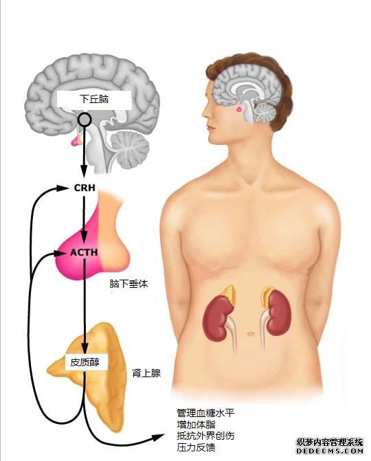 现代人的健身问题溯源：我的心理状态早已追不上刻苦训练的自己