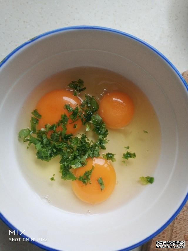 芹菜叶加上荞麦面粉做的早餐饼