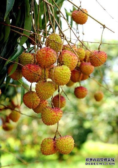 为什么一到夏天,你总是没胃口?
