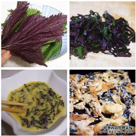 去胃寒,菜肴里加点儿紫苏叶最管用,就用这6道食谱增食欲健脾胃