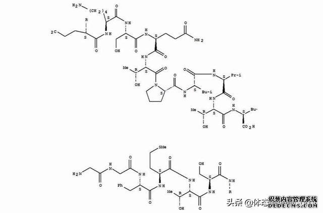 运动是如何改善情绪的？坚持正确健身可以让你精神更健康，更快乐