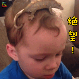 M头条|你有健身心态塌方的时候吗?