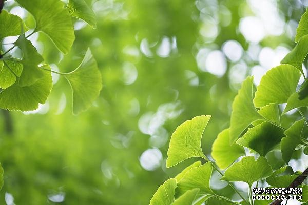 久坐、活动量小的职场人速查!这些指标不合格,很“伤心”