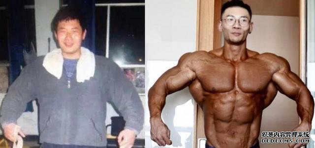 健身能给我们带来什么?鹿晨辉:我的一切都是健身给予的