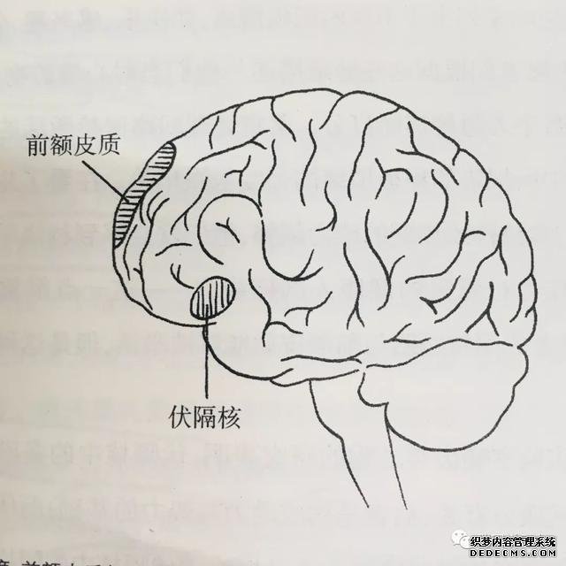 如何锻炼积极的心态