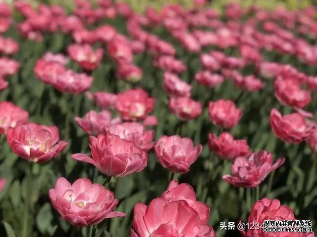 健康小知识;简单易学 效果显著 古人养生十六宜”做起来