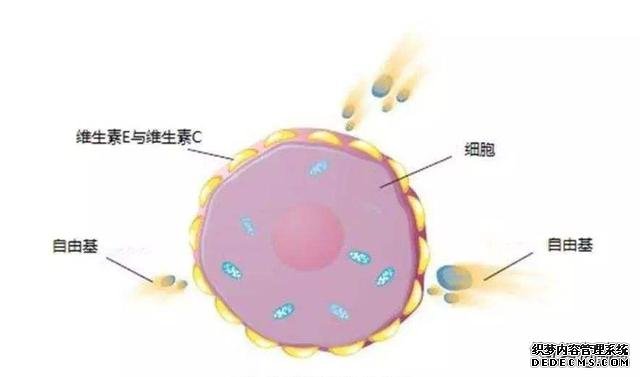 阿黛尔换人演了吗？200斤的体重减掉一半变纸片人，怎么做到的