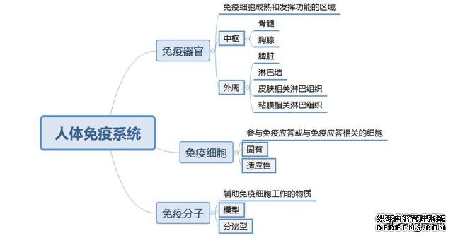 阿黛尔换人演了吗？200斤的体重减掉一半变纸片人，怎么做到的