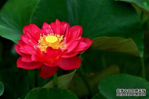 人活着就两点:健康 心态