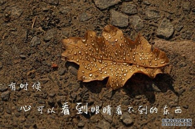 保持健康的心态:各种心态