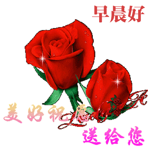 想要幸福,首先就要有一个健康的心态,早晨好