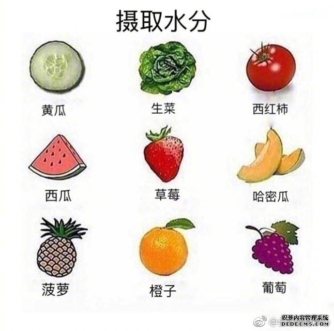 健身为了有一个健康的身体,同时我们也需要养生,养生食谱分享