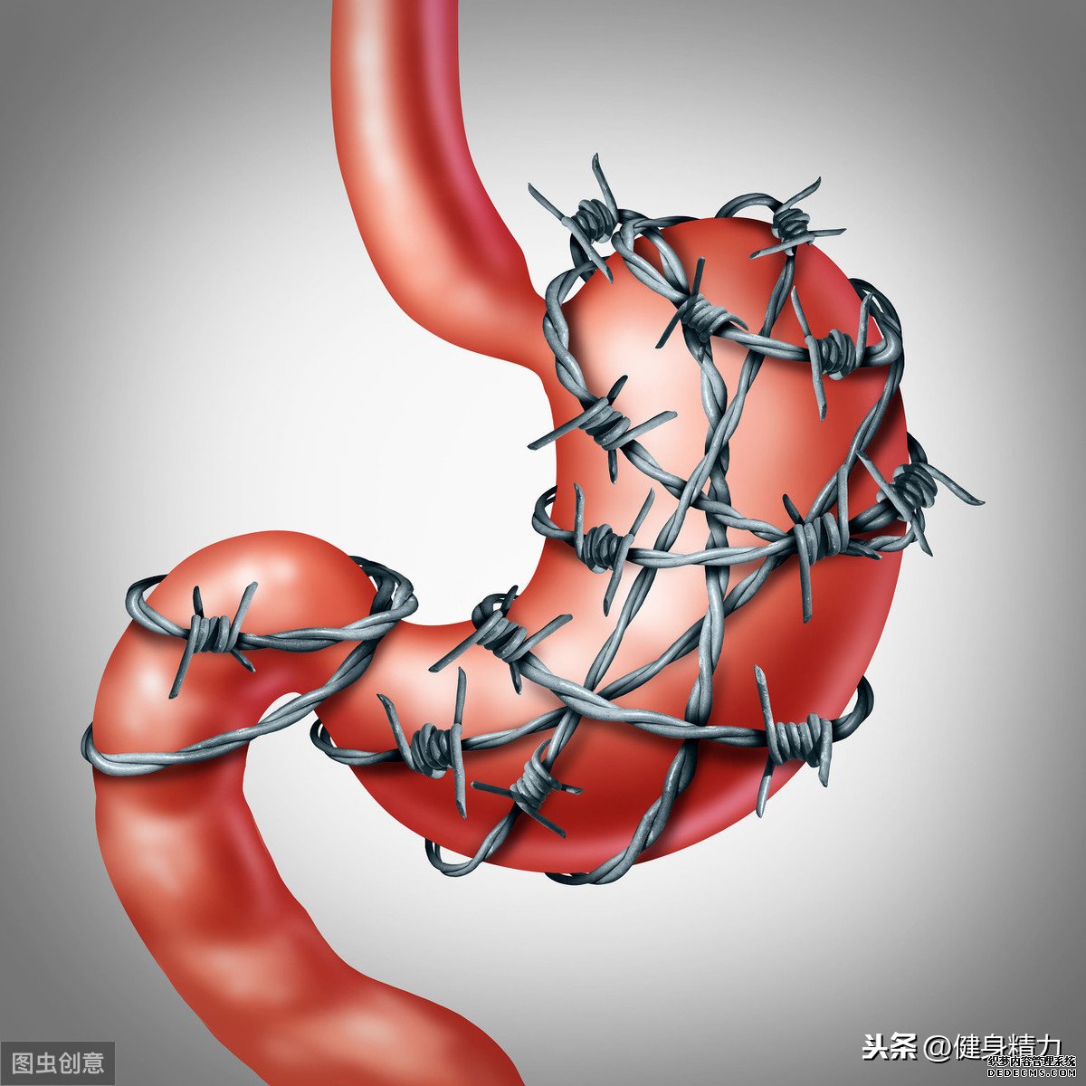 怎么做好健身饮食管理?把握好这几点就可以
