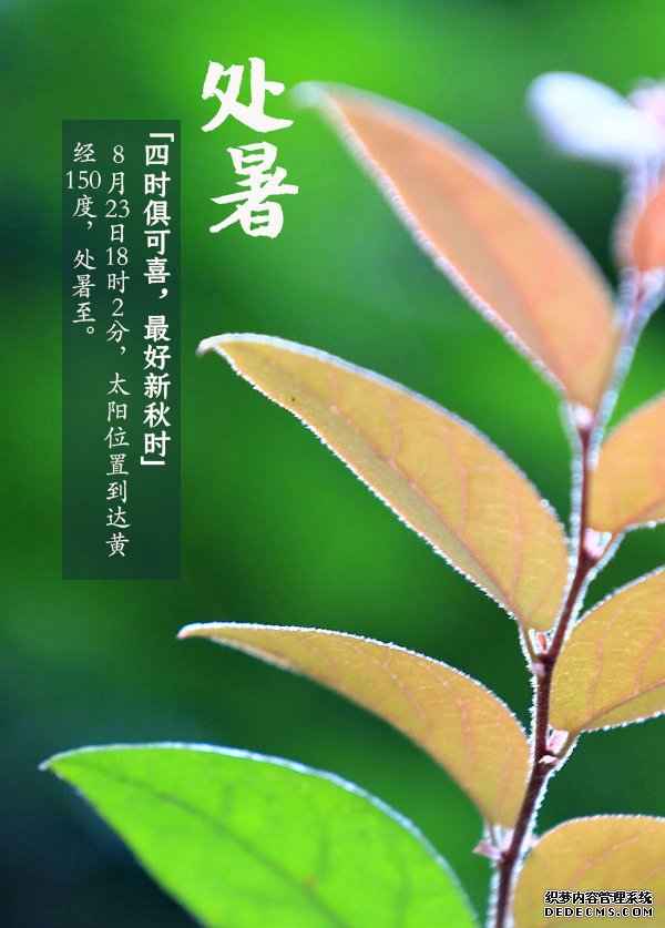秋季如何养生?中医专家告诉你应该这样管理自己的身体健康