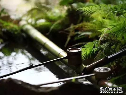 28条养生口诀,这才是最健康的生活方式!(值得收藏)