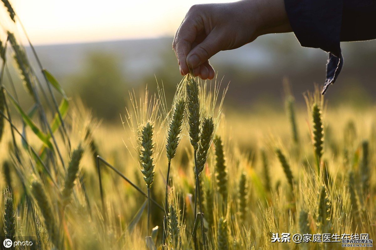 小满节气：养生牢记这几个要点，健康一整个夏天