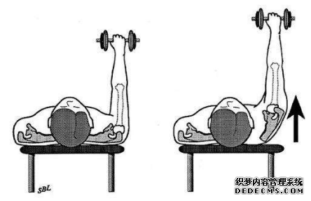 健身时的四个注意事项,让你避免肩关节损伤!