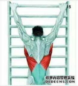 健身时的四个注意事项,让你避免肩关节损伤!