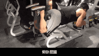 只花四天时间,练遍全身肌肉,一周四练最佳健身计划(多图)