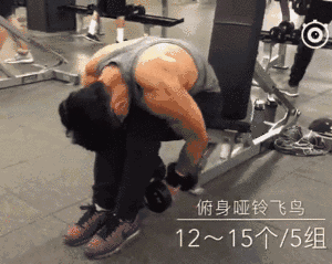 只花四天时间,练遍全身肌肉,一周四练最佳健身计划(多图)