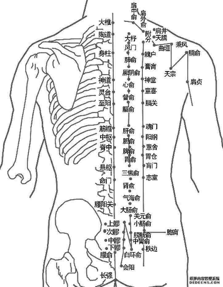 关于胃痛用穴治疗的诸多疑惑